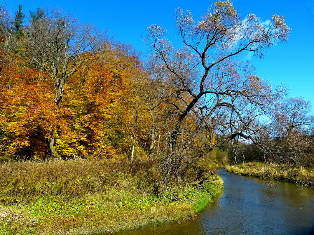 ����� ���������� ���� ����� �������  �� PhotoGeek.ru #������ ��� �������