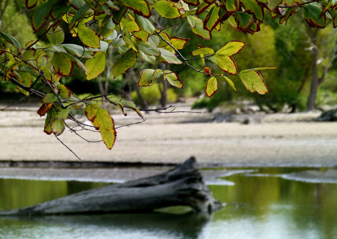 ������ ������� ����� �������  �� PhotoGeek.ru #������ ��� �������