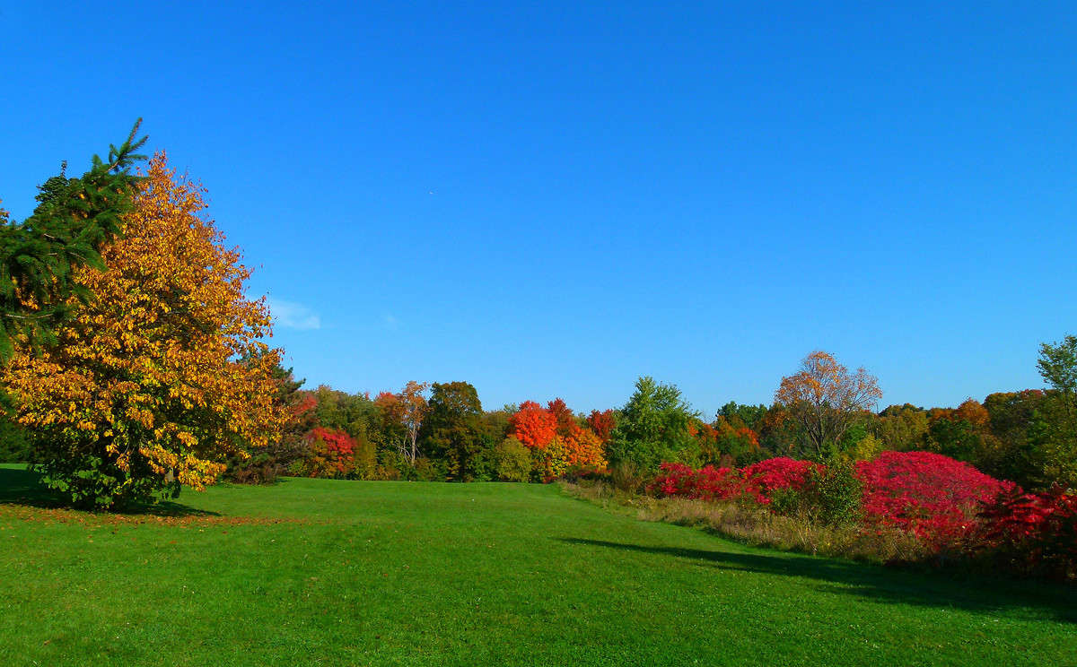 �� ������ ������ ����� �������  �� PhotoGeek.ru #������ ��� �������