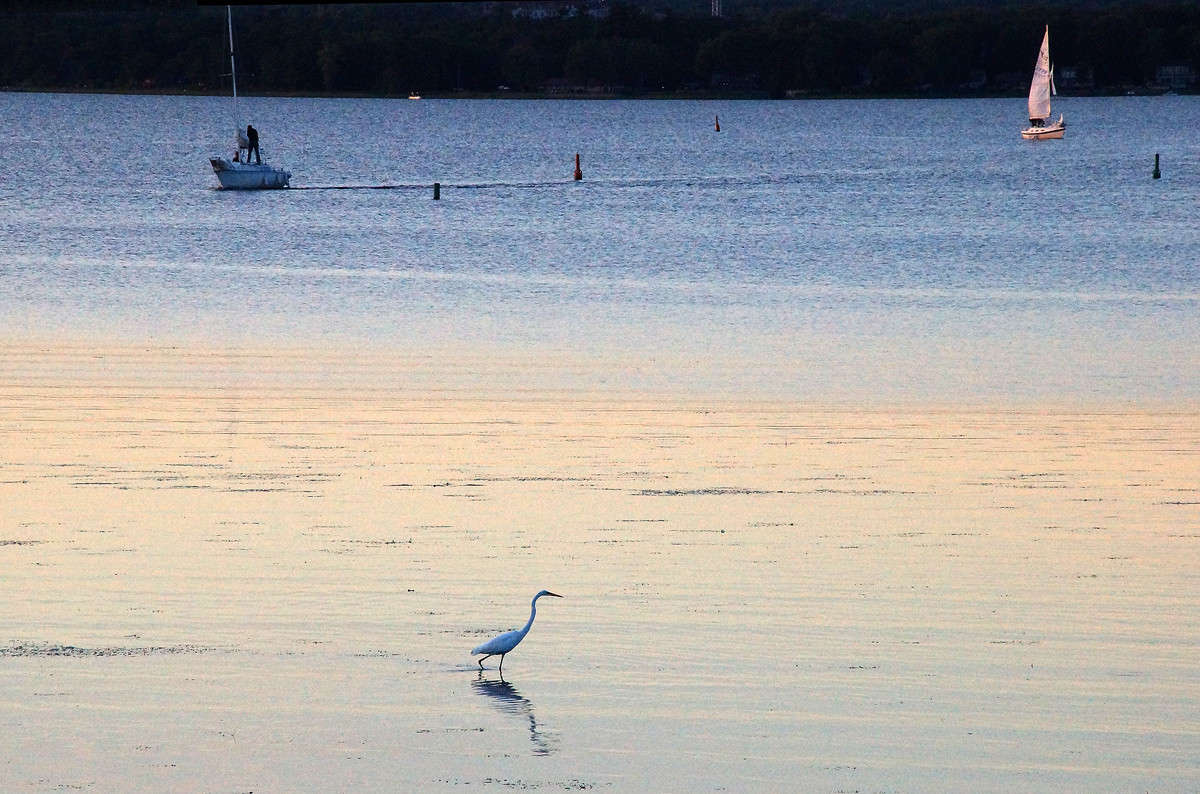 ��������� �������� ����� ����� �������  �� PhotoGeek.ru #�������� ��� #������ ��� �������