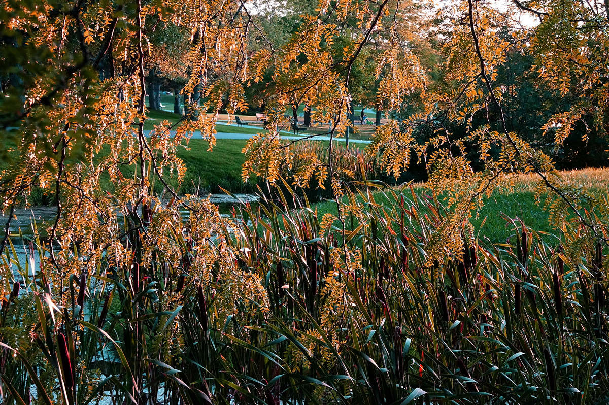 ����� ������ ������� ����� �������  �� PhotoGeek.ru #������ ��� �������