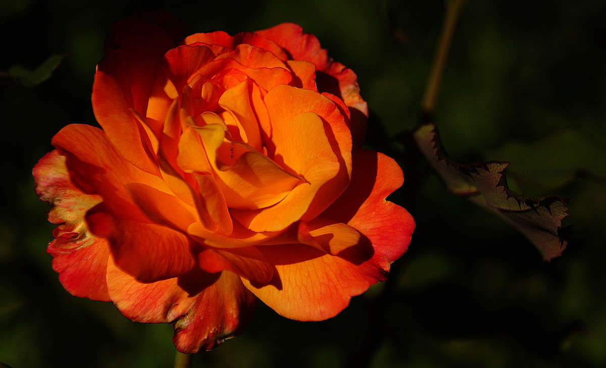 ������ ������������� �������� ����� �������  �� PhotoGeek.ru #������ ��� �������