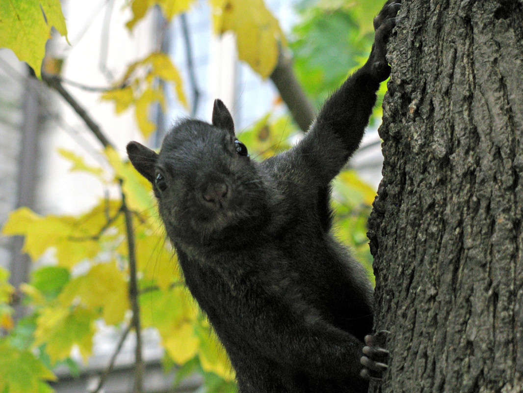 �� �� ����������� ��� �� �����������? ����� �������  �� PhotoGeek.ru #�������� ��� #�������� ����������