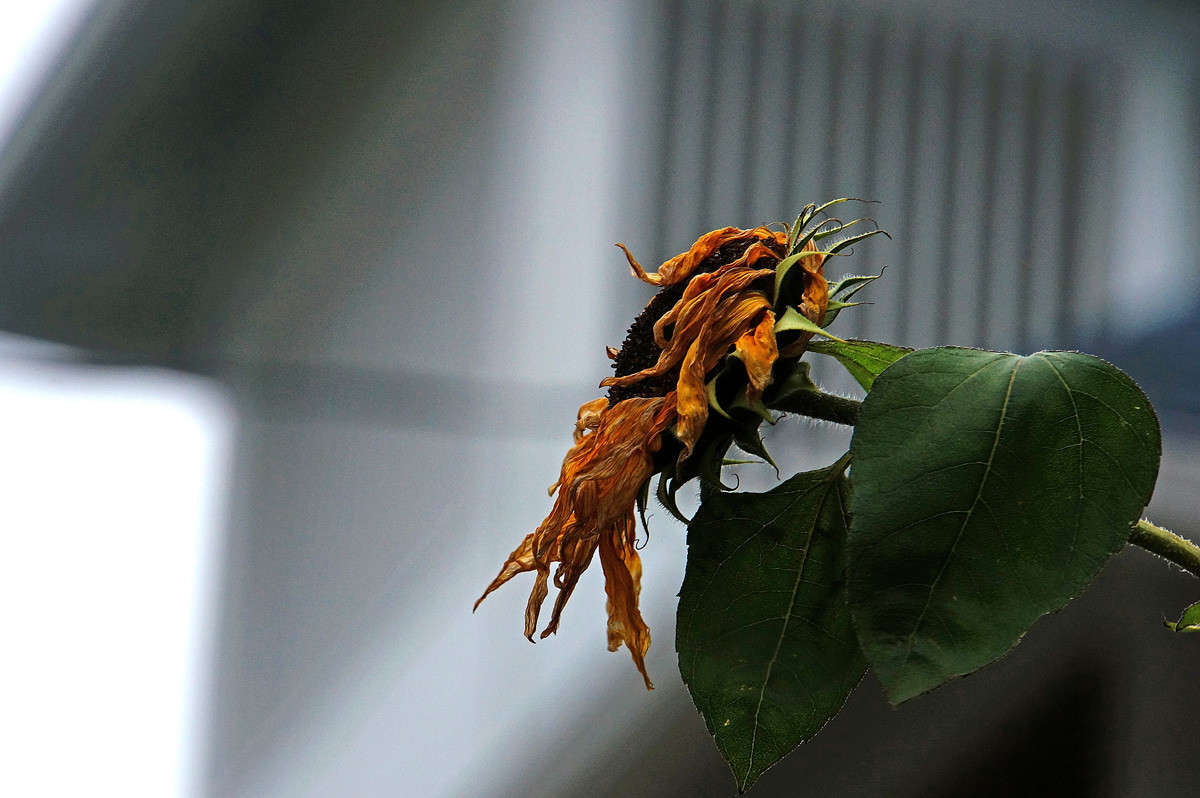 ������ ����� �������  �� PhotoGeek.ru #�������� ����������