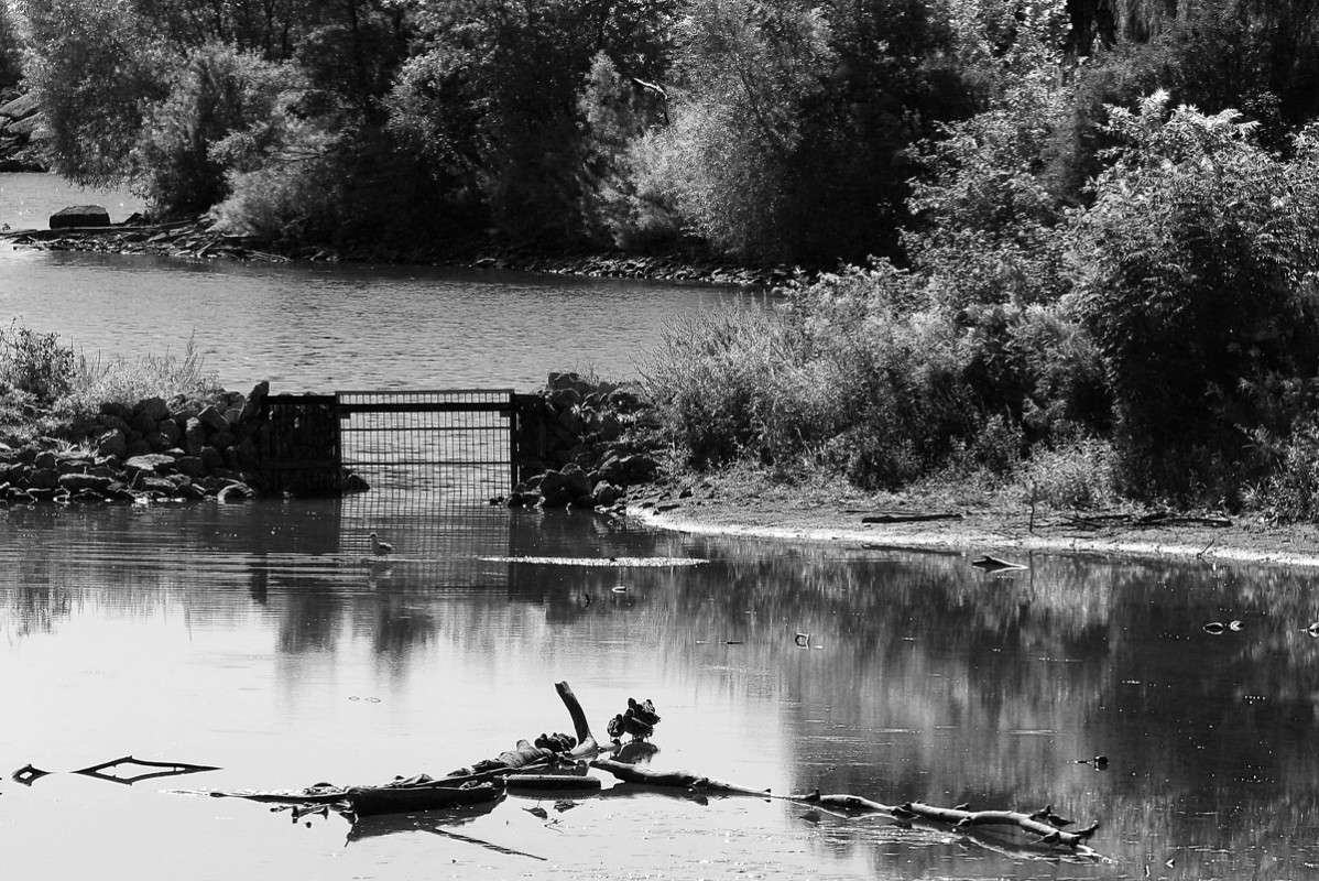 ����������� ����� �������  �� PhotoGeek.ru #������ ��� �������