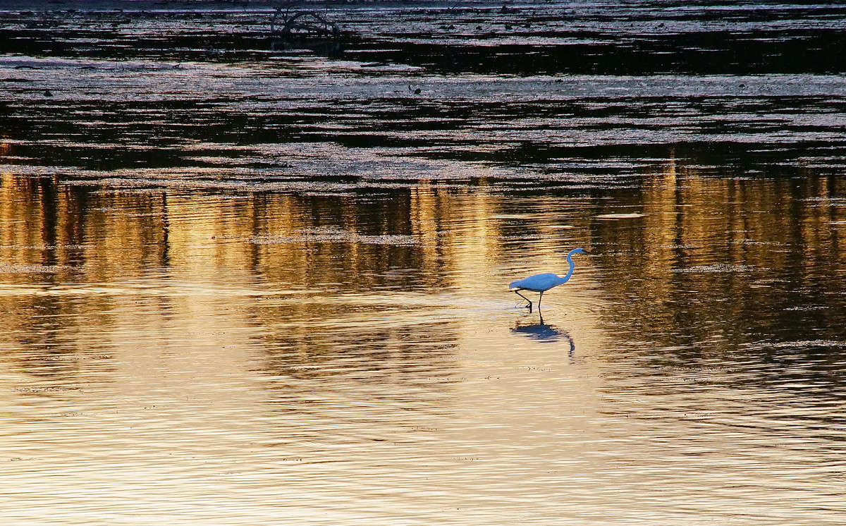 ������� ����������� ����� �������  �� PhotoGeek.ru #�������� ��� #������ ��� �������