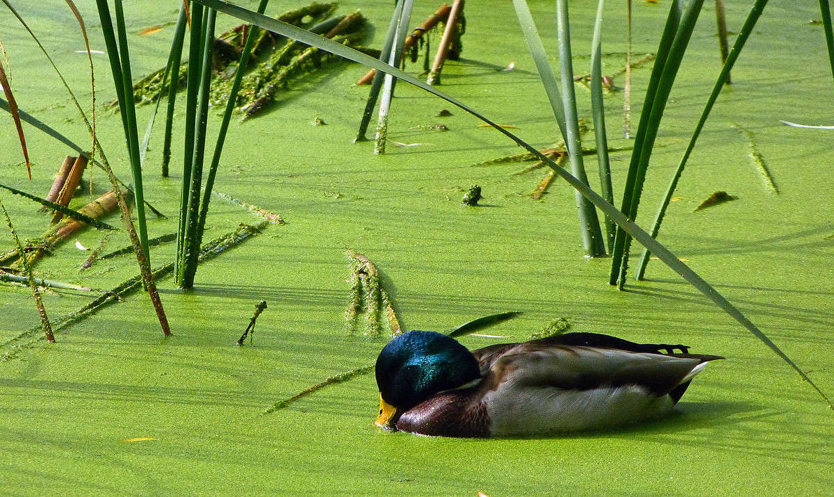 � �������� ��������� ����� �������  �� PhotoGeek.ru #�������� ���