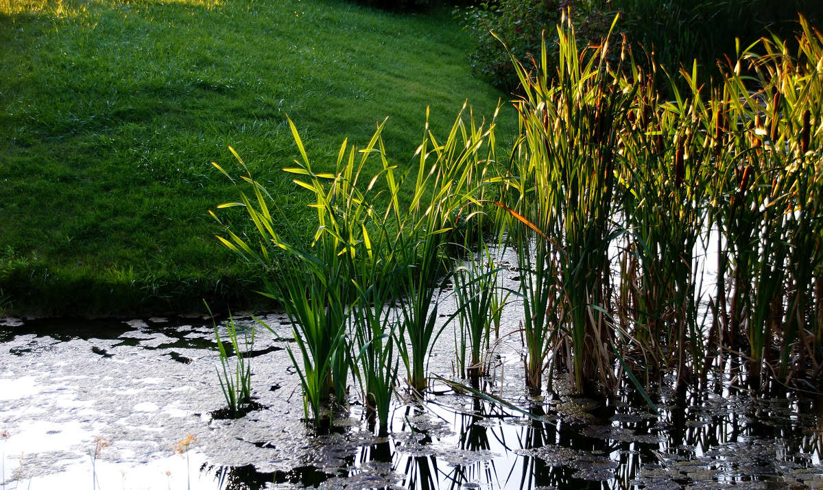 ������ ����� ����� �������  �� PhotoGeek.ru #������ ��� �������