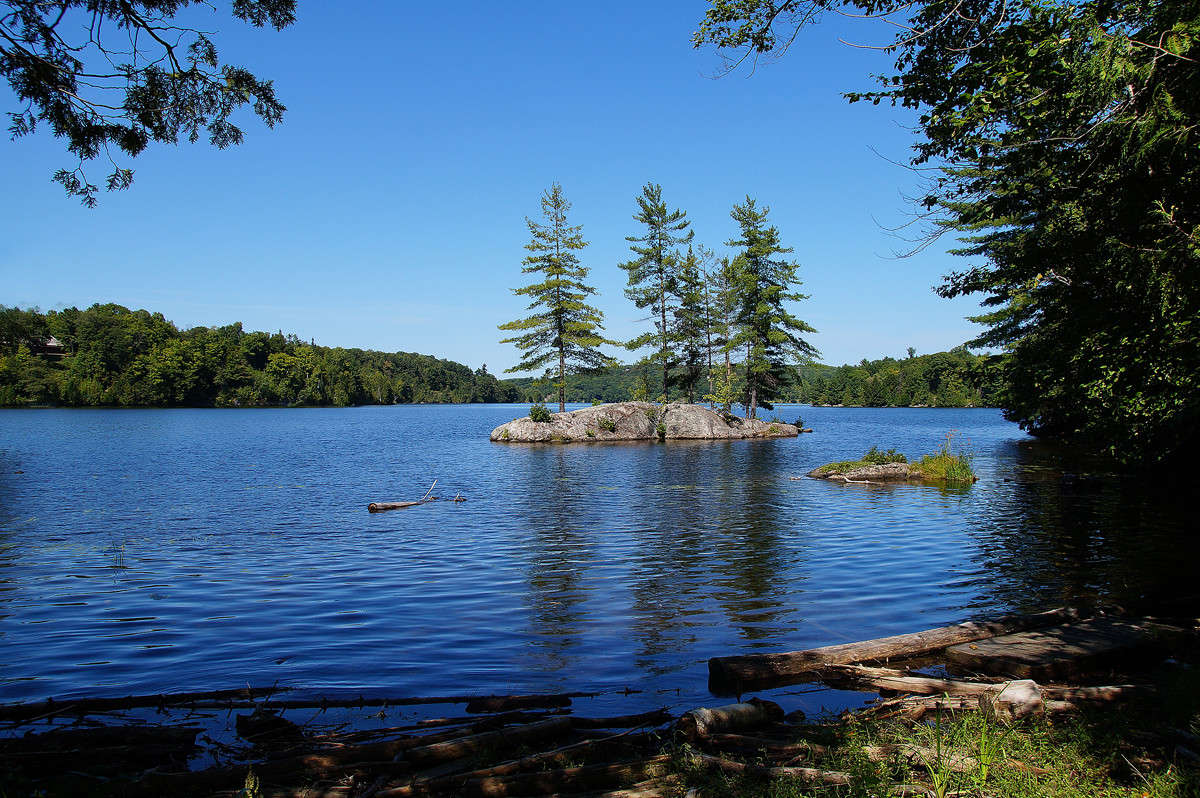 �������� ���� ����� �������  �� PhotoGeek.ru #������ ��� �������