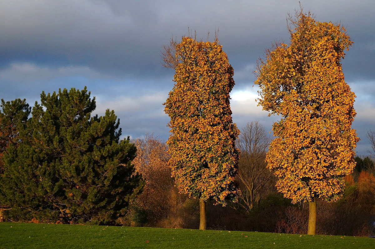 ���� ����� �� ���� ����� �������  �� PhotoGeek.ru #������ ��� �������