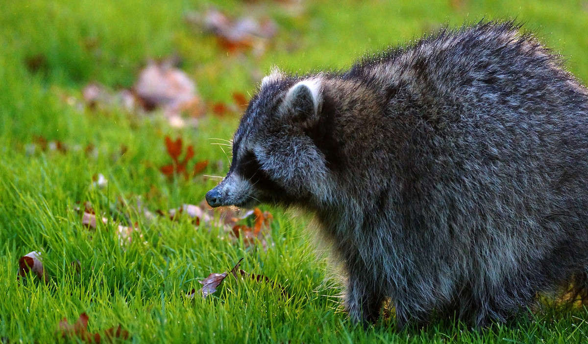 � ���� ������� ����� �������  �� PhotoGeek.ru #�������� ���