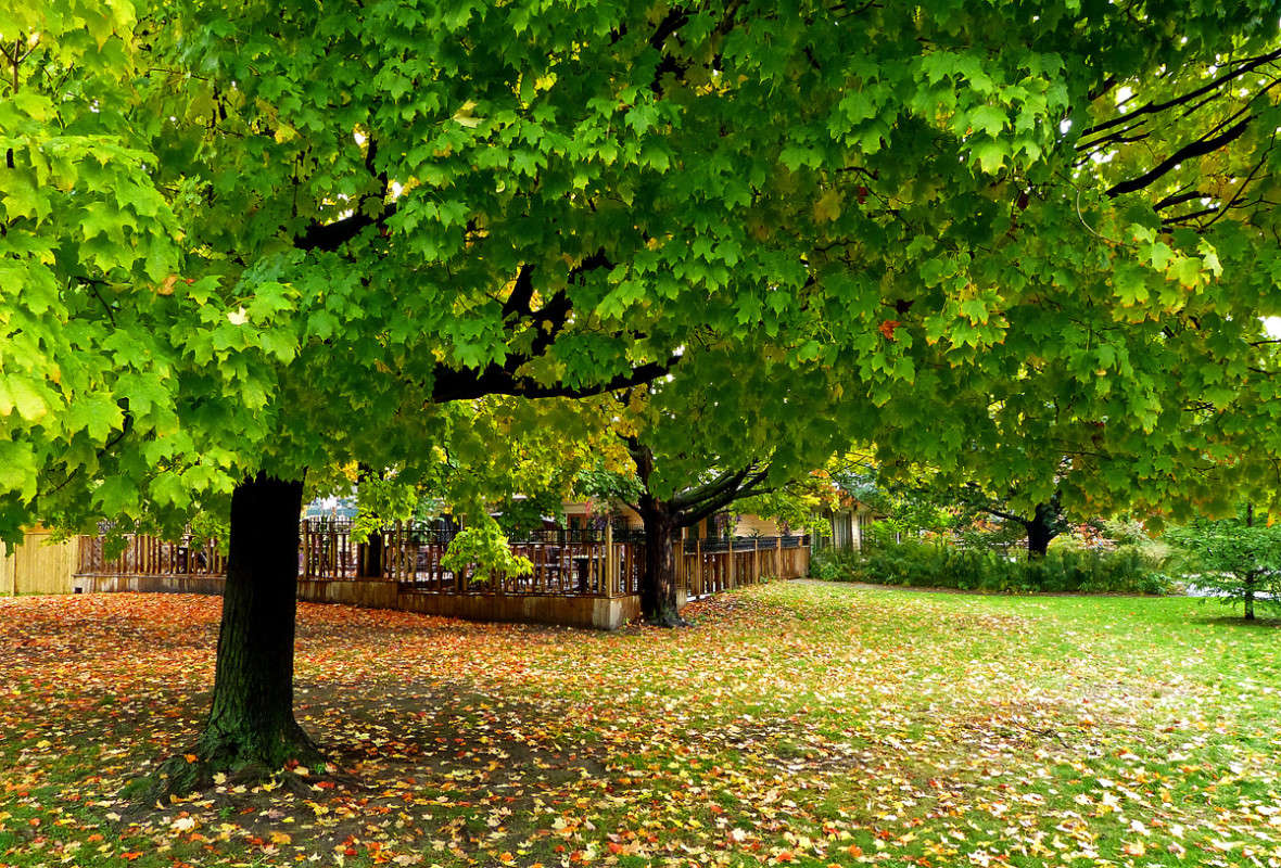 � ������������ ����� �������  �� PhotoGeek.ru #�����