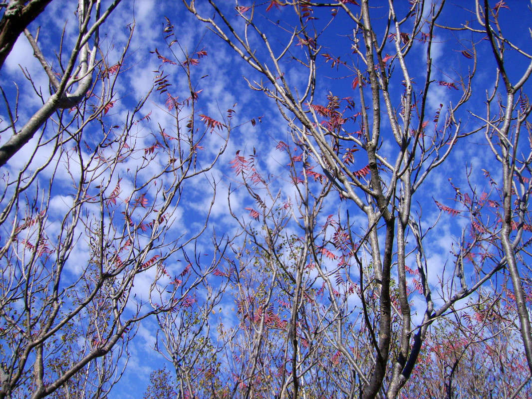 ����������� ������� ����� �������  �� PhotoGeek.ru #������ ��� �������