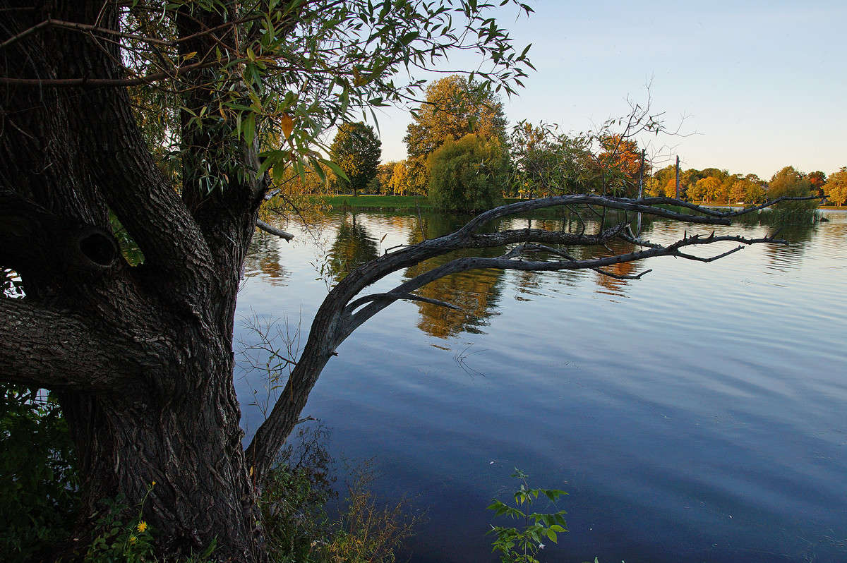 ������� ����� �������  �� PhotoGeek.ru #������ ��� �������