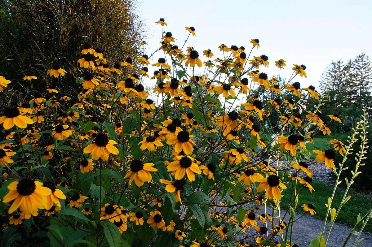 �������� ������� ����� �������  �� PhotoGeek.ru #������ ��� �������