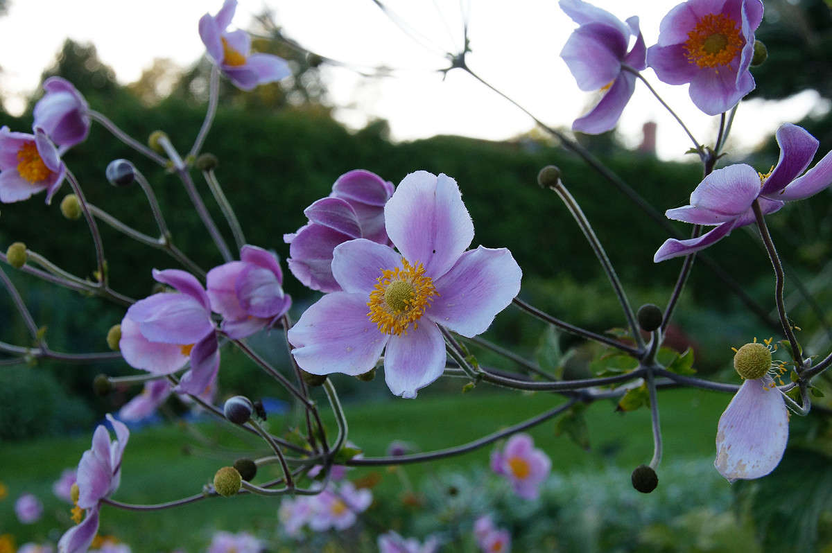 ��������������� ����� �������  �� PhotoGeek.ru #������ ��� �������