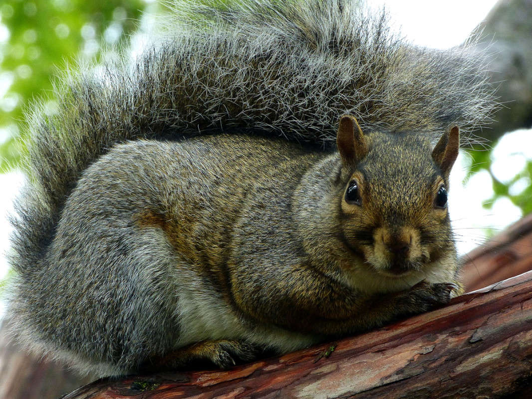 �� ������ ����� �������  �� PhotoGeek.ru #�������� ���