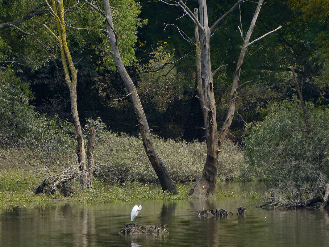 � ����� ������� ����� �������  �� PhotoGeek.ru #�������� ��� #������ ��� �������