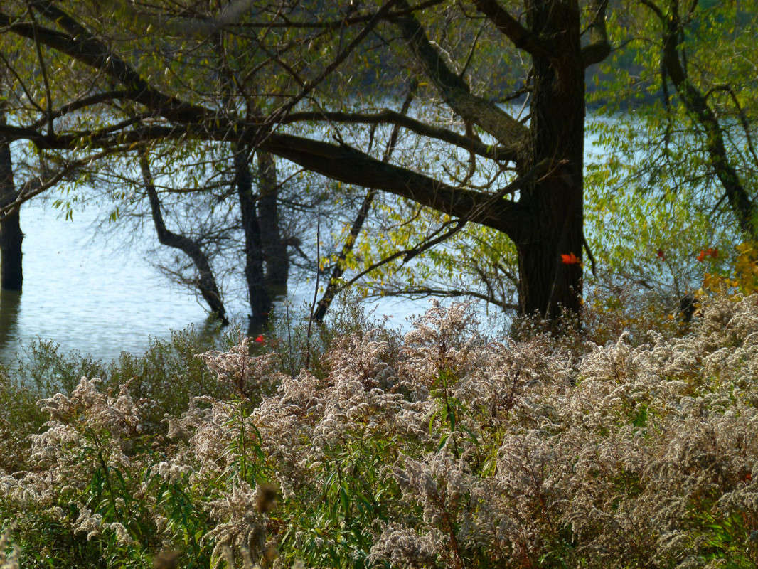 ������� ����� ����� �������  �� PhotoGeek.ru #������ ��� �������