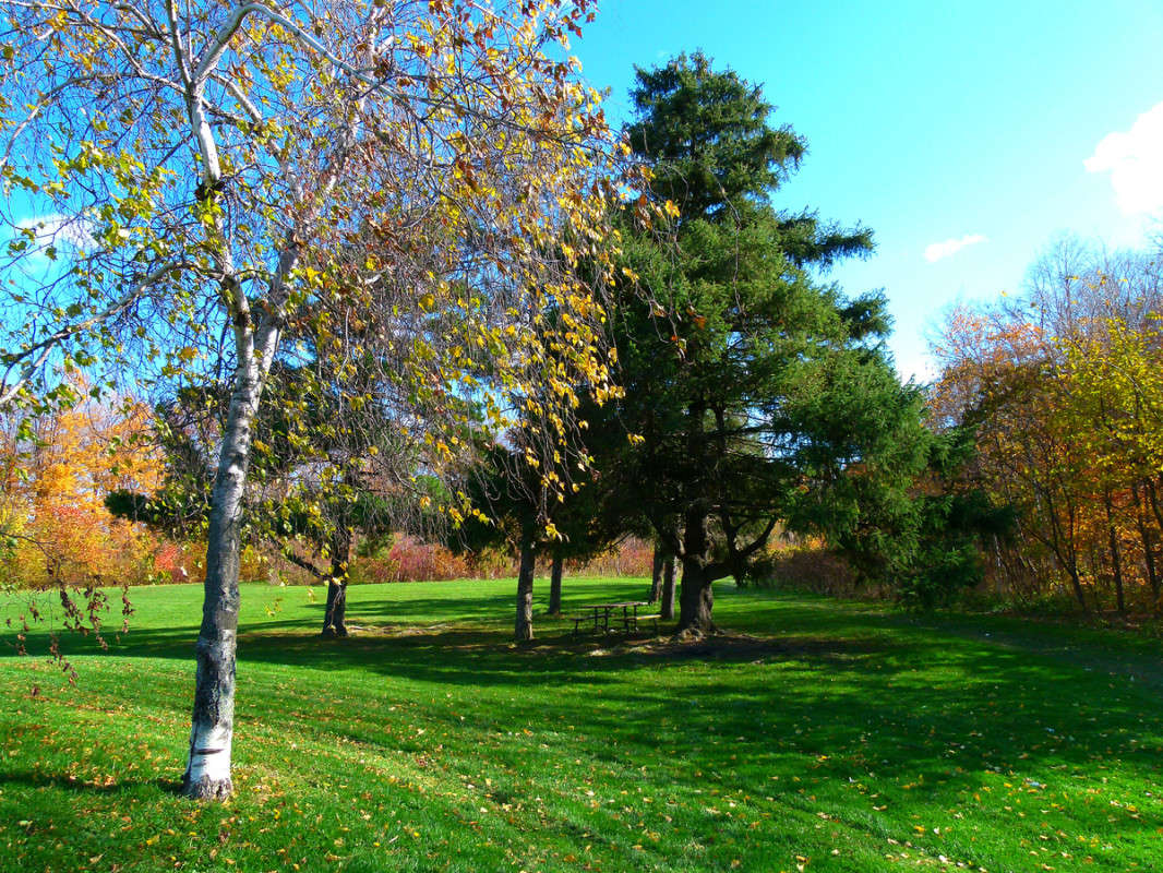 ���������� ����� ����� �������  �� PhotoGeek.ru #������ ��� �������