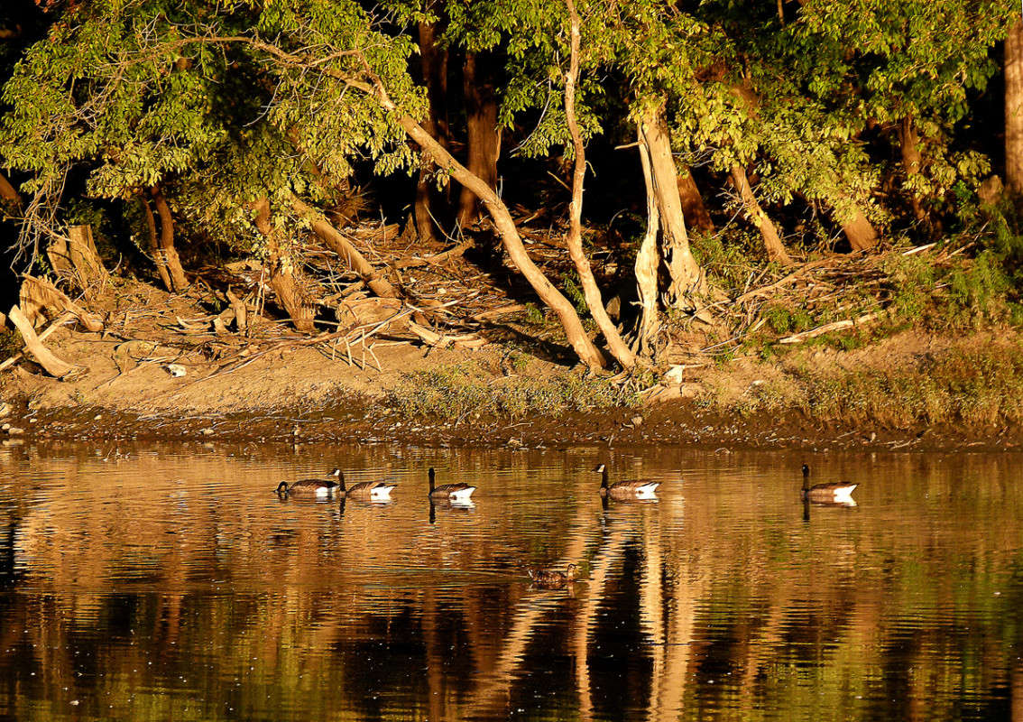 �������� ������� ����� �������  �� PhotoGeek.ru #�������� ��� #������ ��� �������