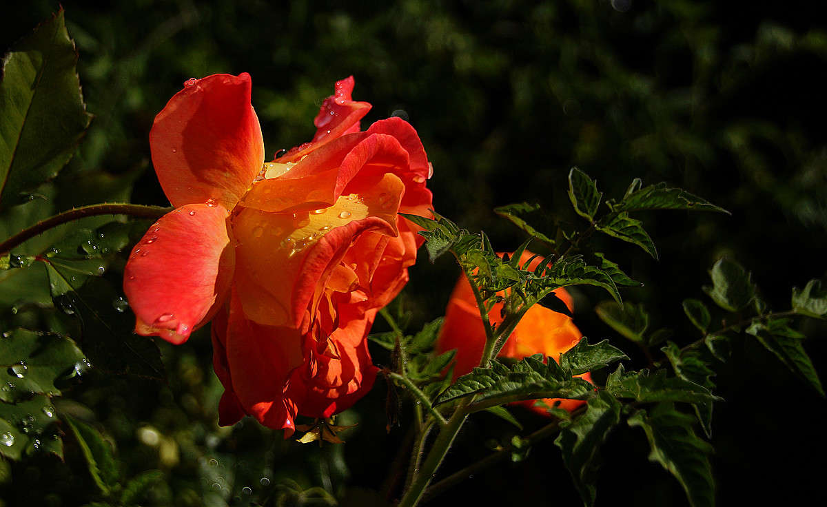 ��������� � ������� ����� �������  �� PhotoGeek.ru #������ ��� �������