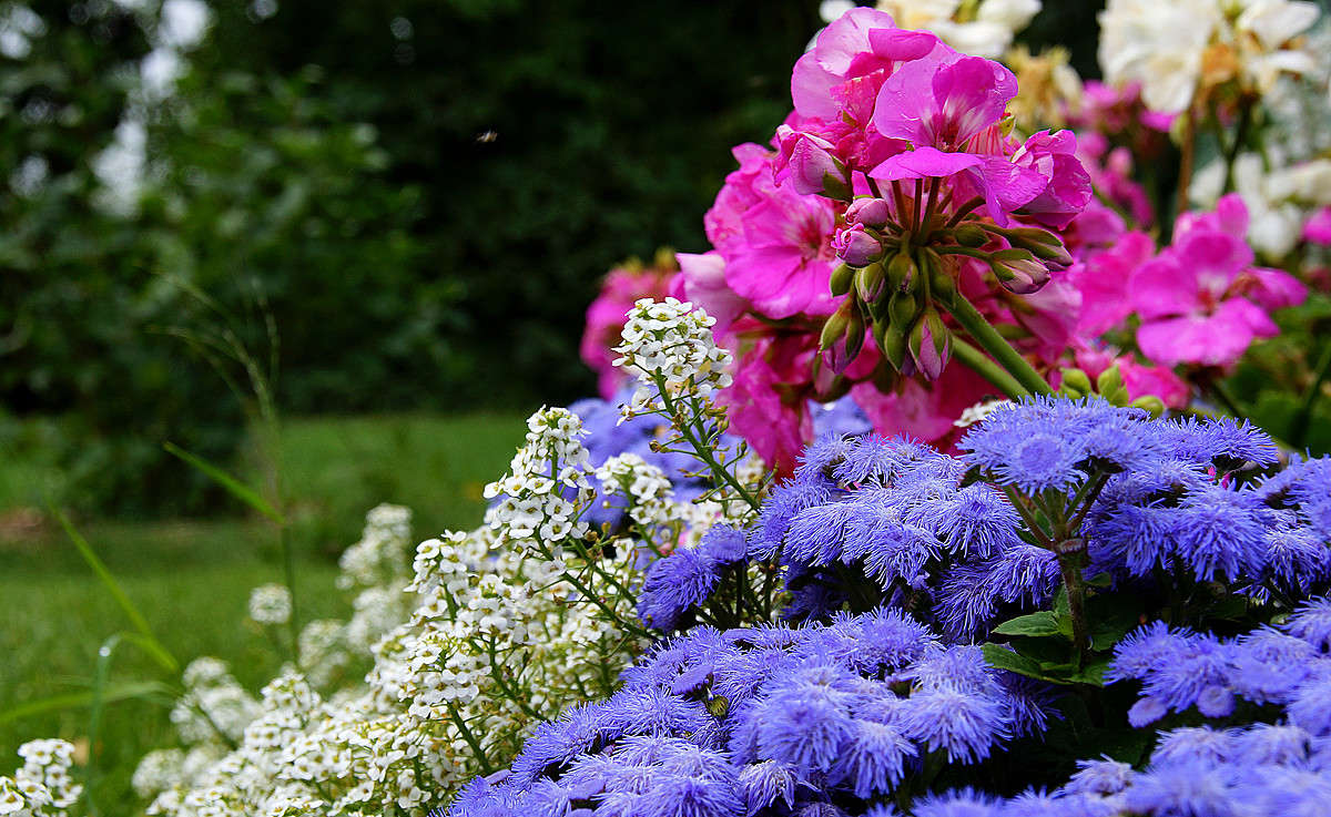 ����� ����� �������  �� PhotoGeek.ru #������ ��� �������