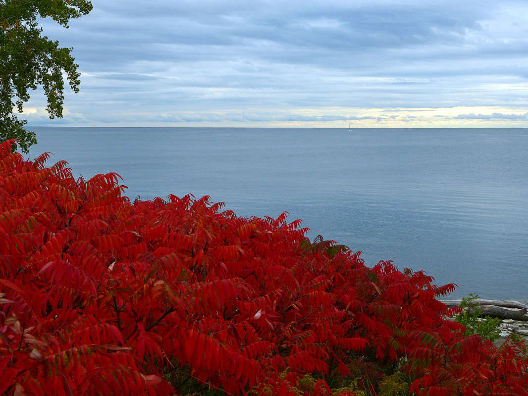 ������ ����� �������  �� PhotoGeek.ru #������ ��� �������