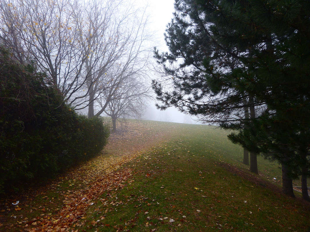 ������� ���� ����� �������  �� PhotoGeek.ru #������ ��� �������