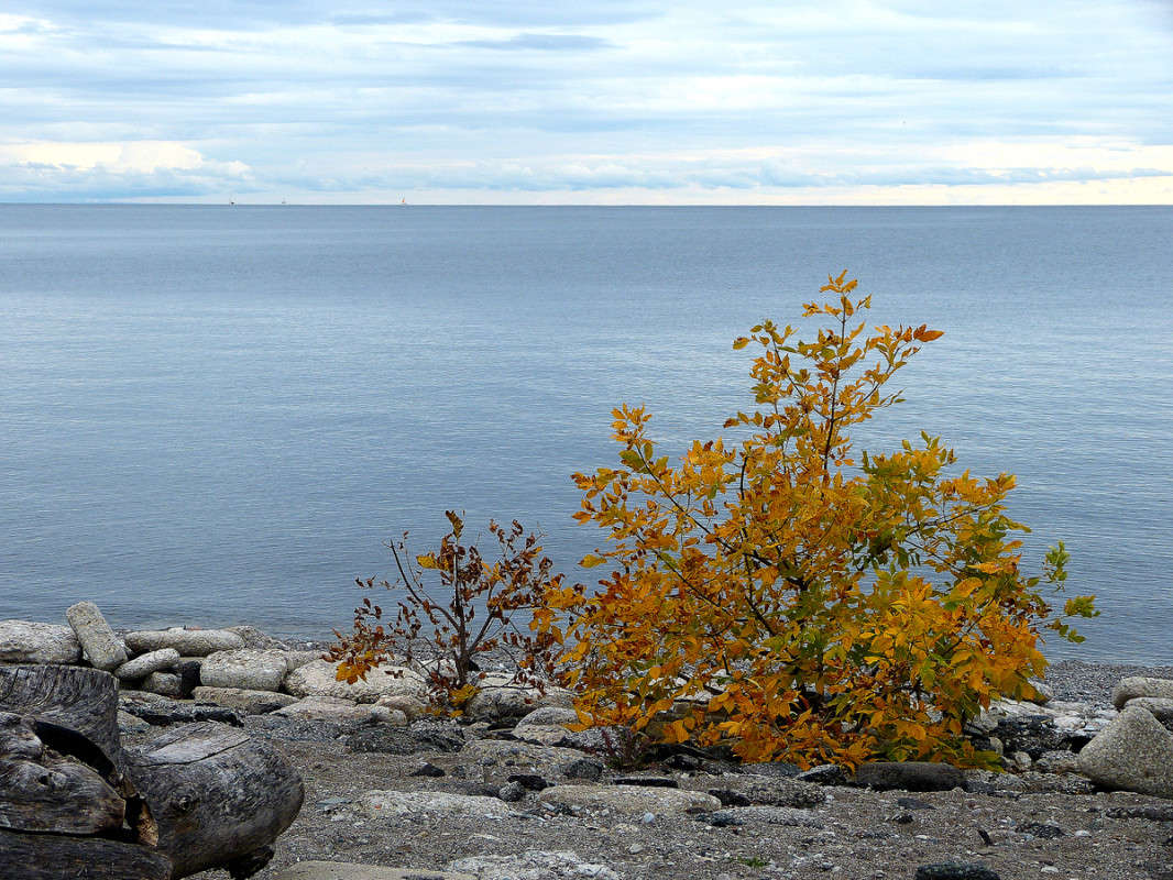 ������� ����� ����� �������  �� PhotoGeek.ru #������ ��� �������