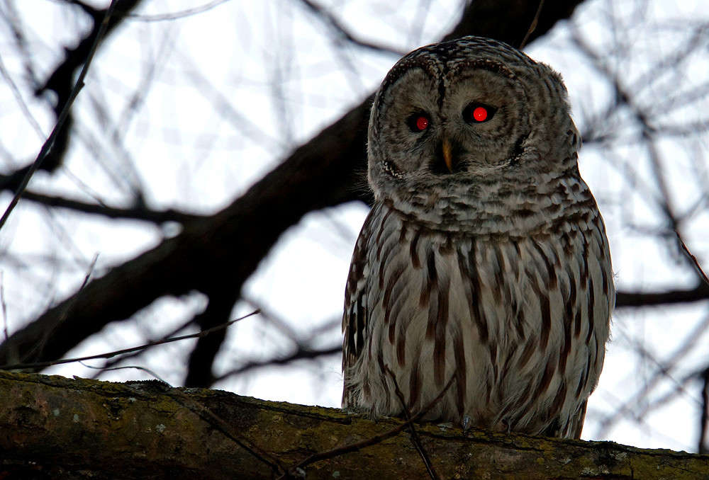 �������� ����� �������  �� PhotoGeek.ru #�������� ���