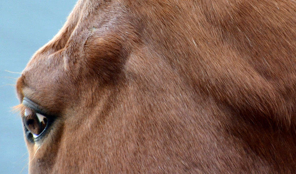 ����������� ����� �������  �� PhotoGeek.ru #�������� ���