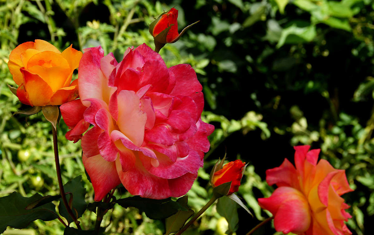 ���� � ���� ����� �������  �� PhotoGeek.ru #������ ��� �������