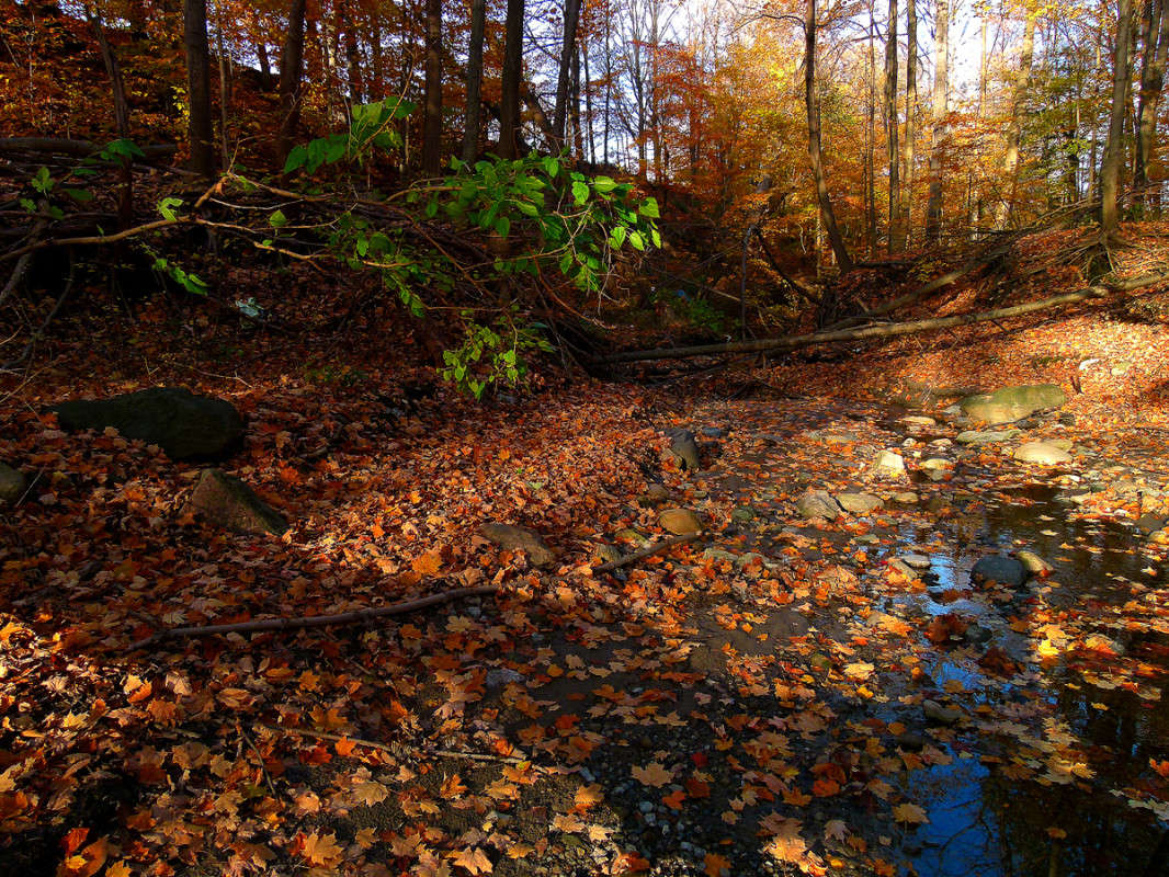 ������ �������� ����� �������  �� PhotoGeek.ru #������ ��� �������