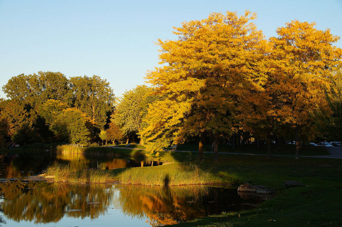 ���������� ����� �������  �� PhotoGeek.ru #������ ��� �������