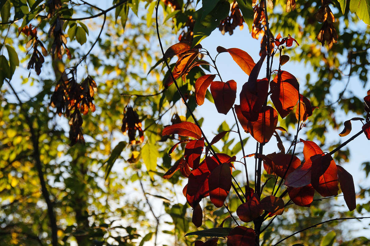 ����� ������ ����� �������  �� PhotoGeek.ru #������ ��� �������