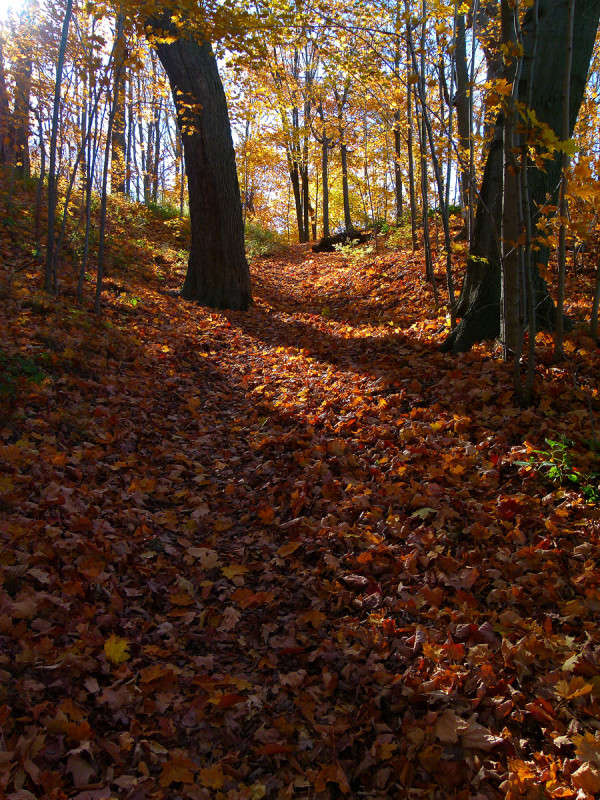 ���������� ����� �������  �� PhotoGeek.ru #������ ��� �������