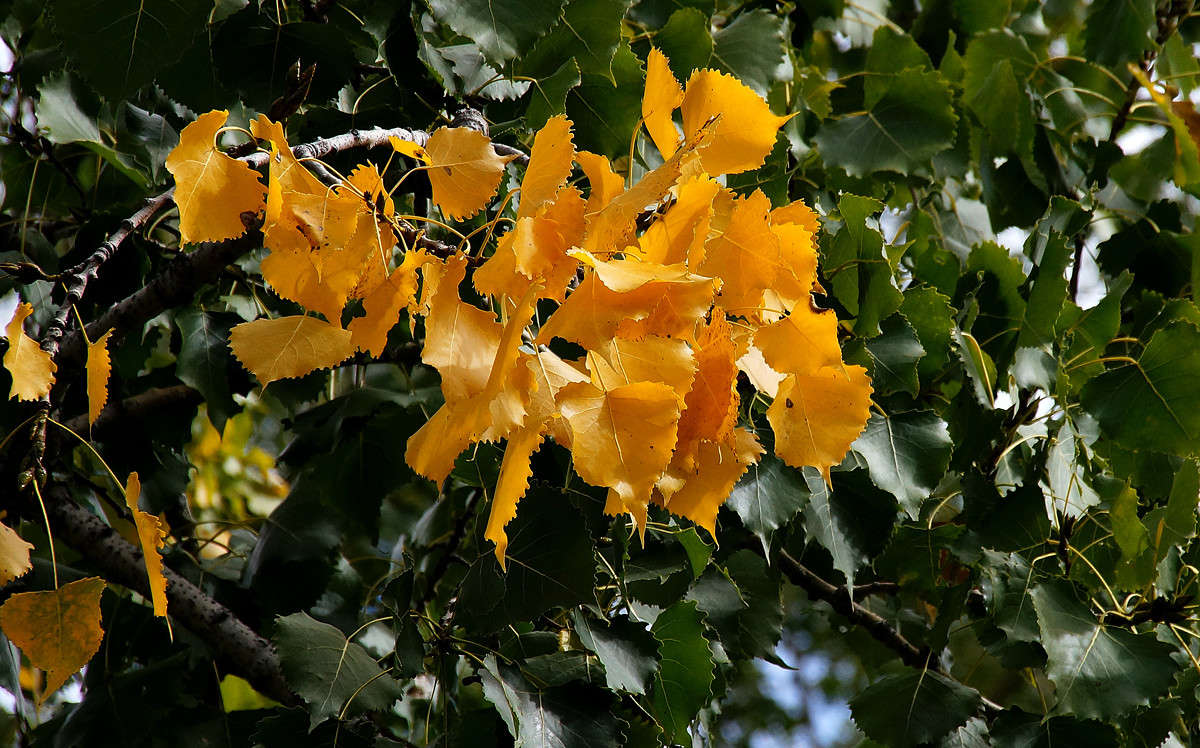 ����� �������� ����� �������  �� PhotoGeek.ru #������ ��� �������