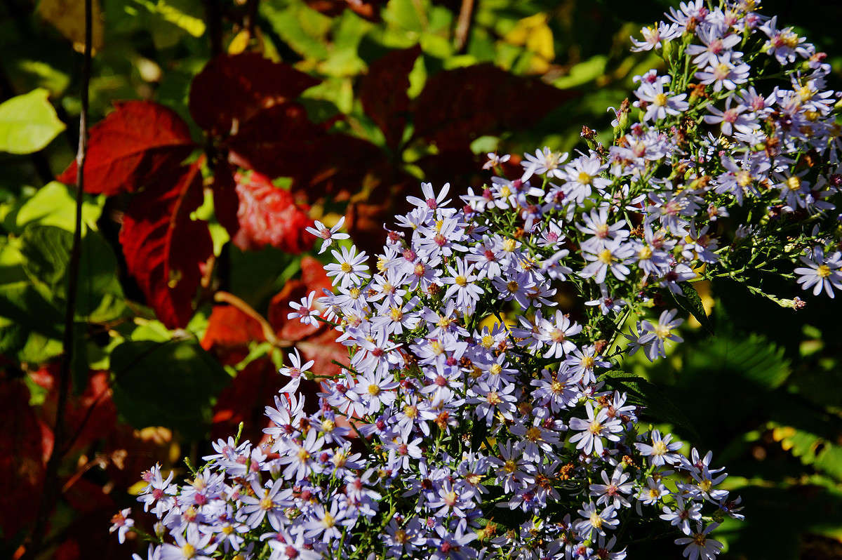 ��������� ����� �������  �� PhotoGeek.ru #������ ��� �������