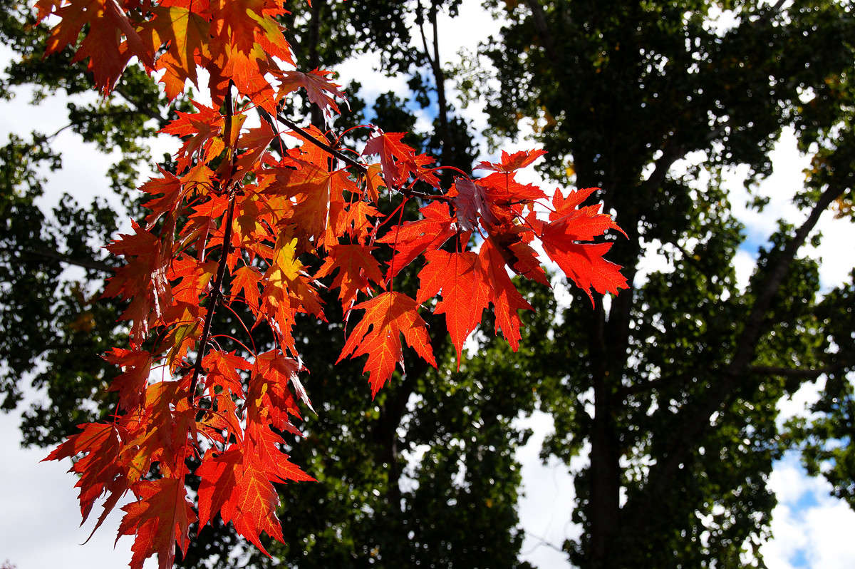 ��������� ������ ����� �������  �� PhotoGeek.ru #������ ��� �������