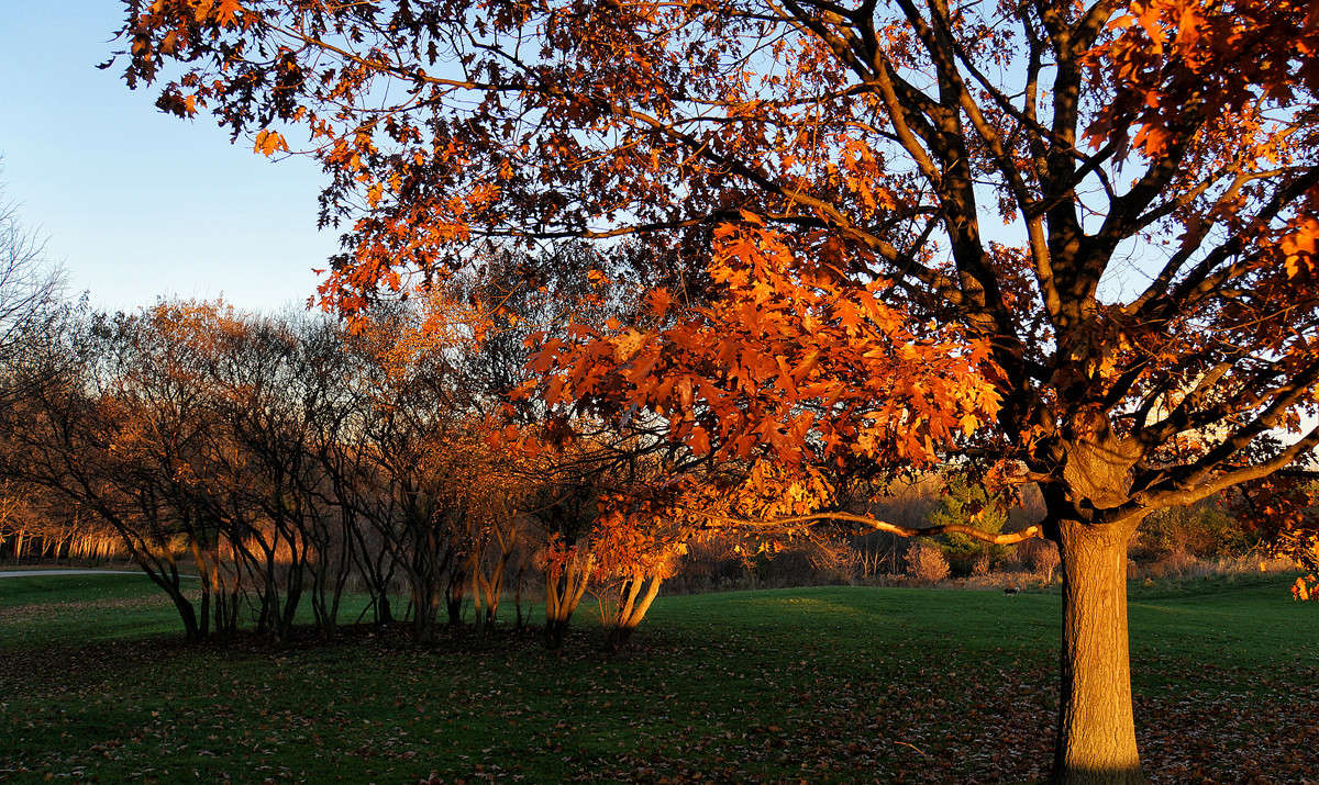 ����� ������� ����� �������  �� PhotoGeek.ru #������ ��� �������