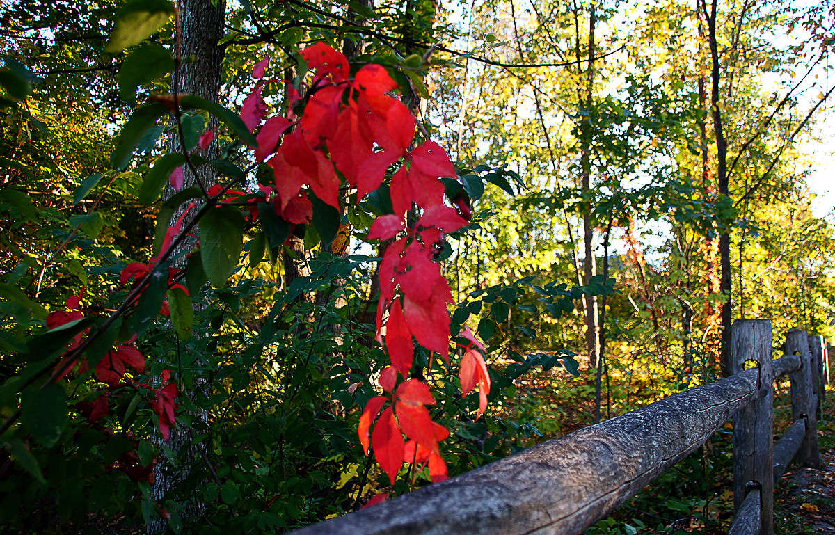 ������� ������� ����� �������  �� PhotoGeek.ru #������ ��� �������