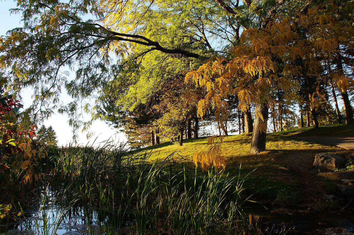 ��� ������� ����� ����� �������  �� PhotoGeek.ru #������ ��� �������