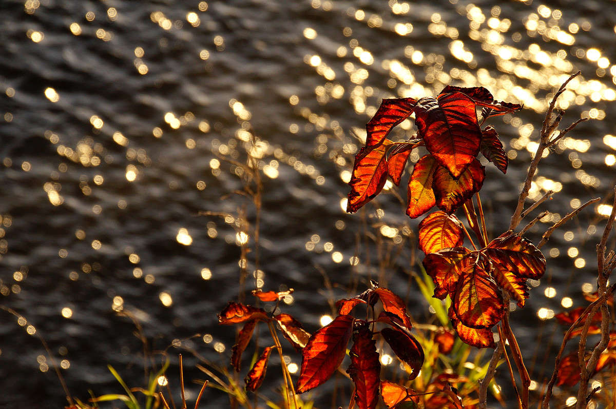 �������� ��� �������� ������� ����� �������  �� PhotoGeek.ru #������ ��� �������