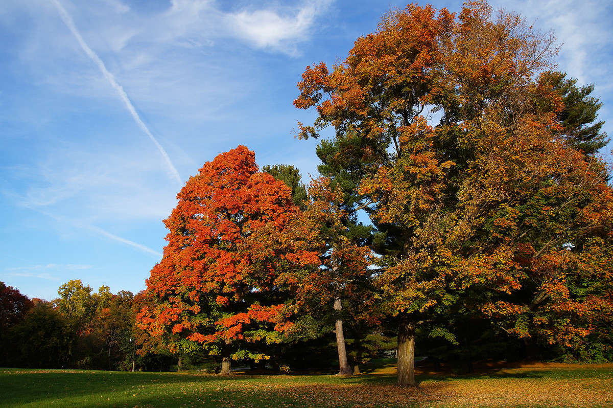 ���������� ����� ����� �������  �� PhotoGeek.ru #������ ��� �������