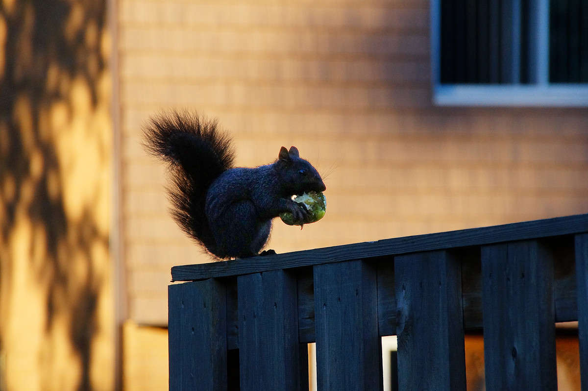 ���� ��������� ������ ����� �������  �� PhotoGeek.ru #����� #�������� ���