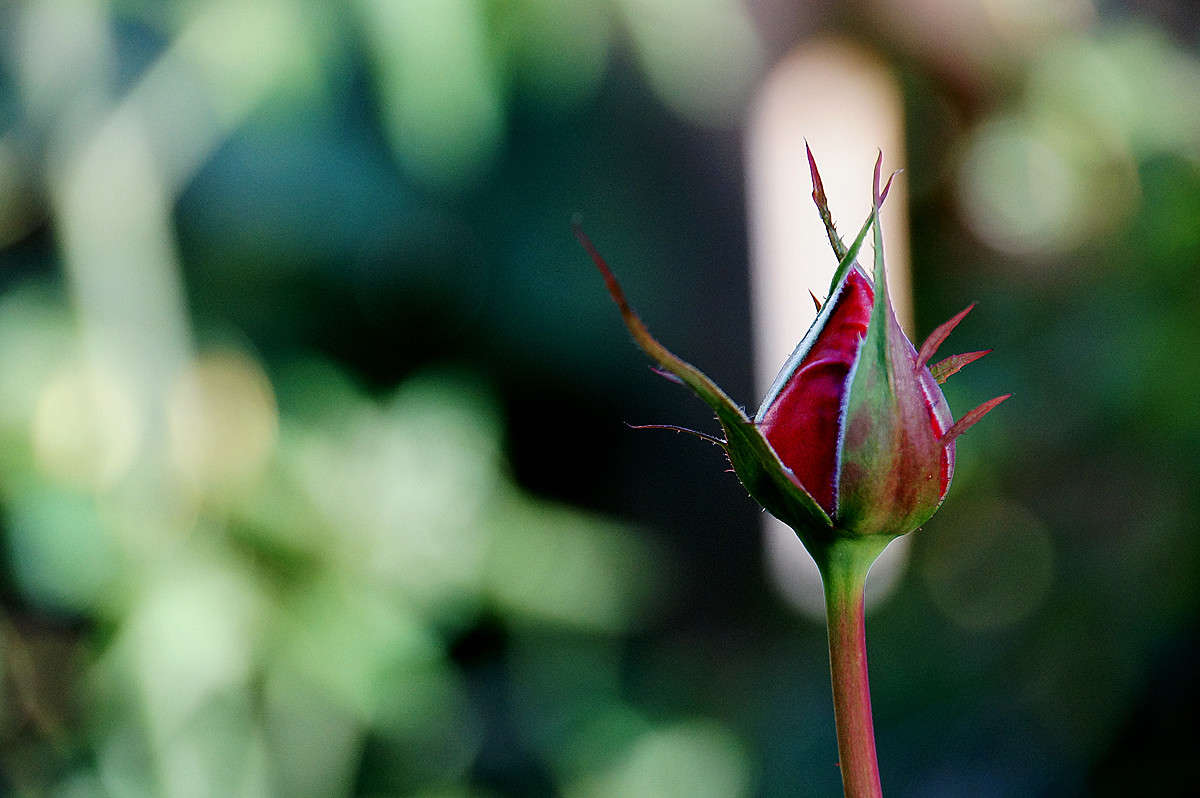 ���� ����� �������� ���� ����� �������  �� PhotoGeek.ru #������ ��� �������