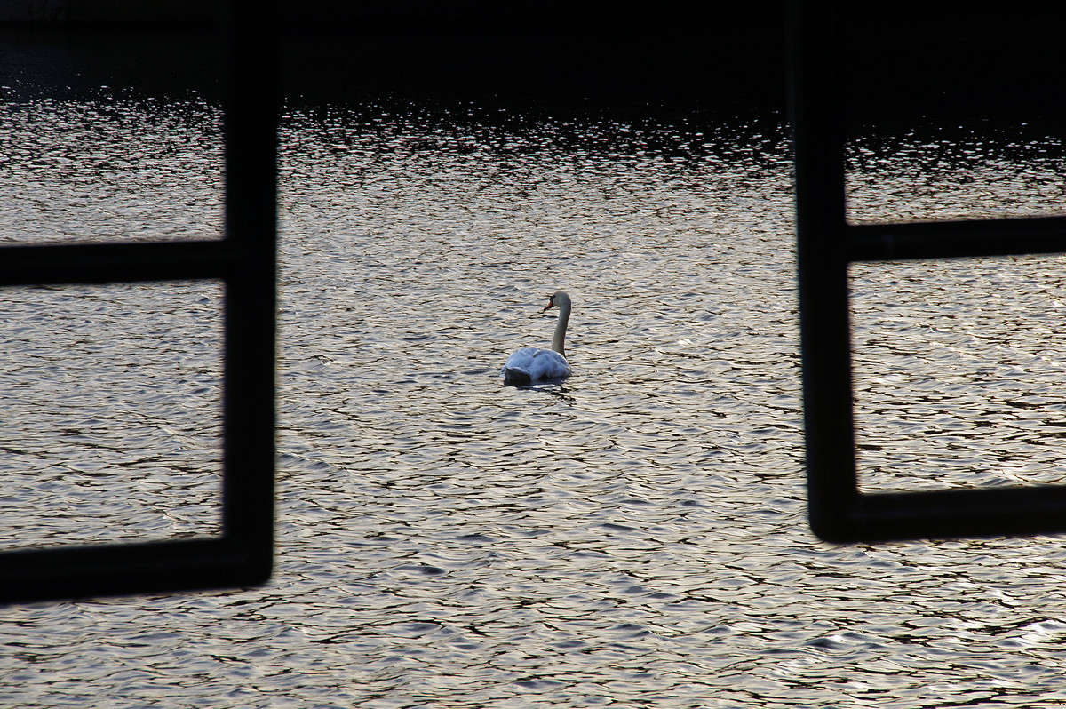 � ����� ����������� ������ ����� �������  �� PhotoGeek.ru #����� #�������� ���