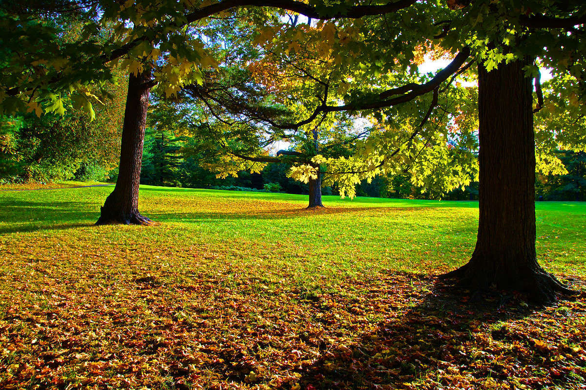 �������������� ���� ����� �������  �� PhotoGeek.ru #������ ��� �������