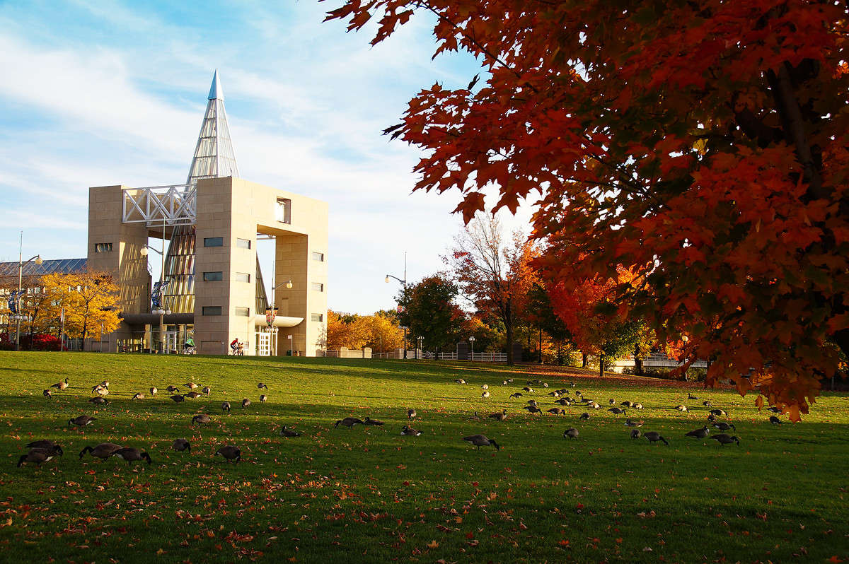 ����� ������� ����� ����� �������  �� PhotoGeek.ru #����� #�������� ���